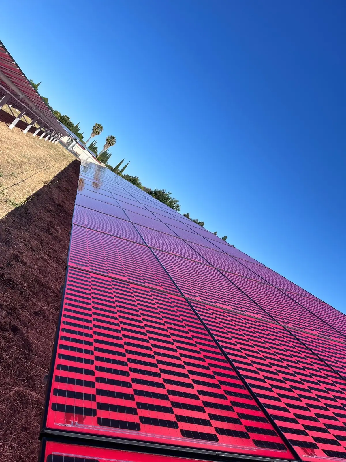 Ground-mount solar array beside a vertical-axis wind turbine at a Pittsburg school district facility